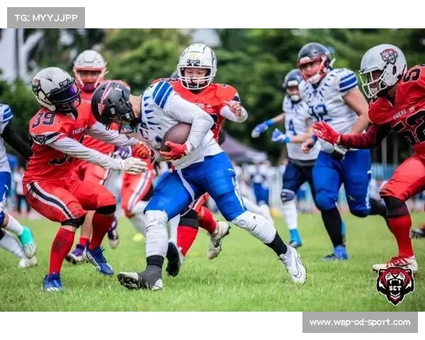 2023年NFL球队实力排名揭晓最强橄榄球队一览分析